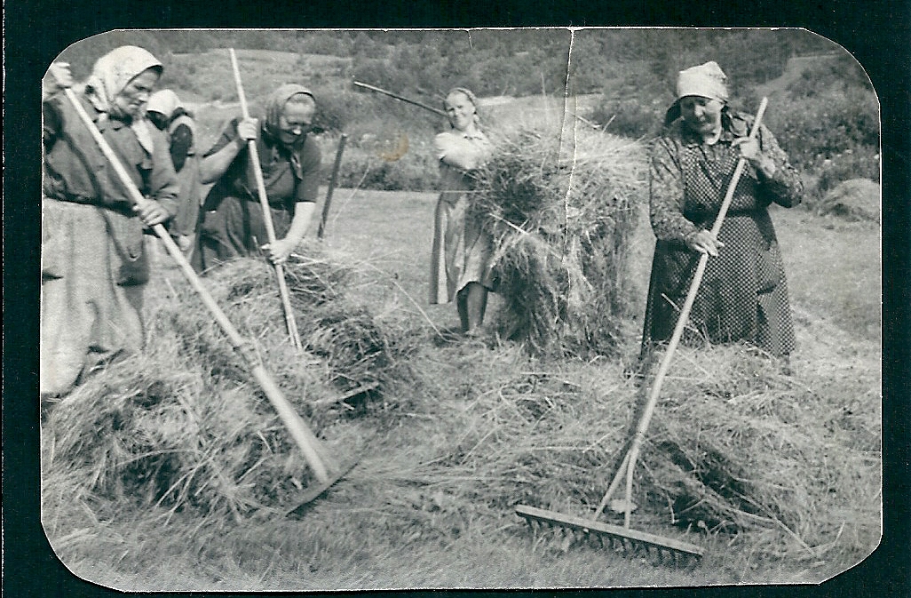 Družstevničky-Janíková,Šedivá,Antašová,Špinerová