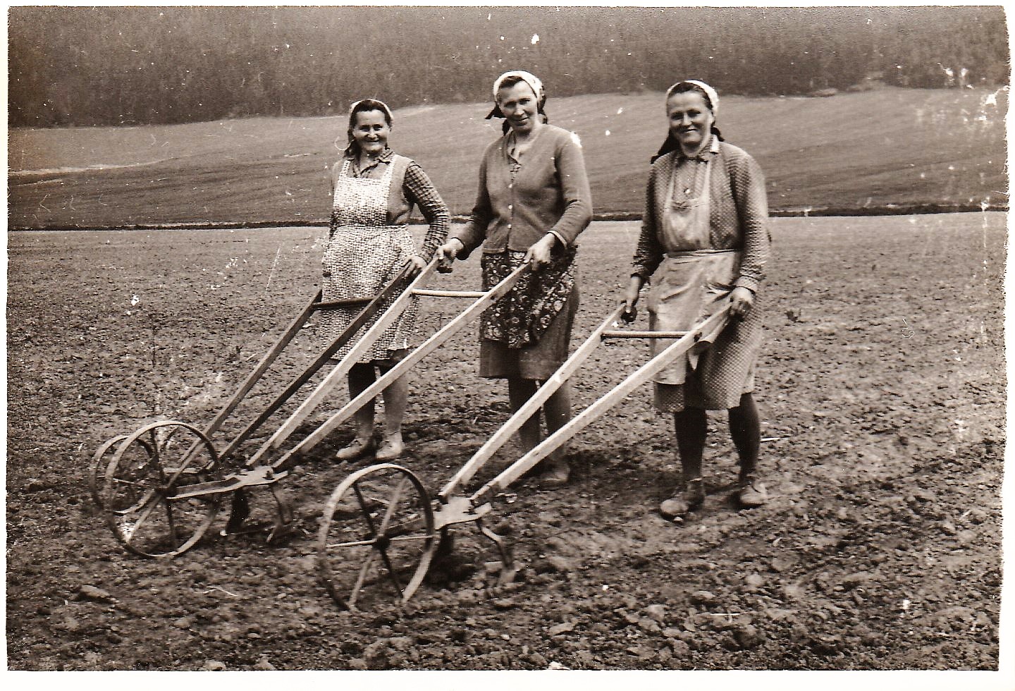 Družstevničky Martinková (Hudzíková) Vilma 1928, Gajanová (Valigurová) Janka 1927 , Chripková Sedmáková) Mária 1923